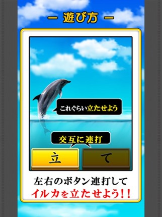 Can Dolphin Stand? screenshot