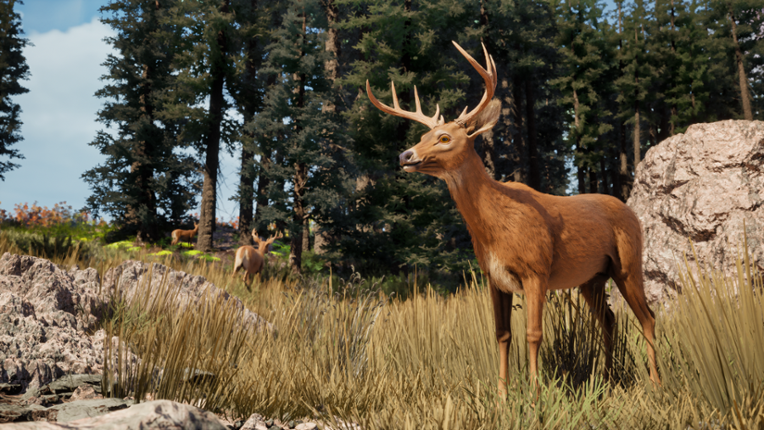 Cornucopias screenshot