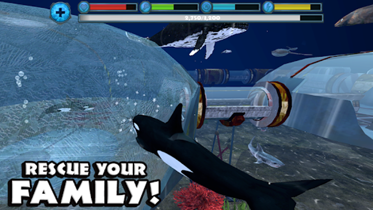 Orca Simulator screenshot