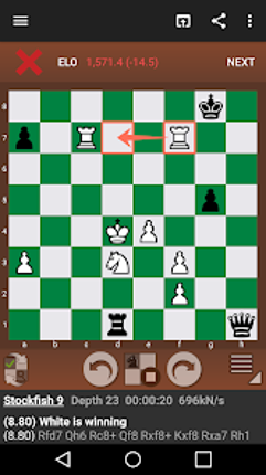 Fun Chess Puzzles Pro screenshot