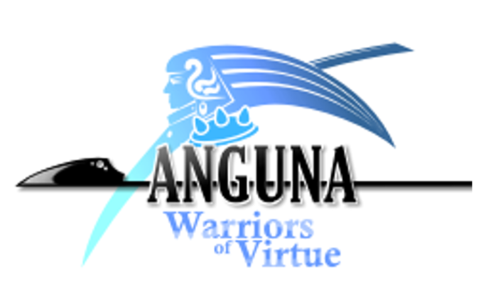 Anguna Game Cover