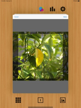 15Puzzle - Enjoy Various Tiles screenshot