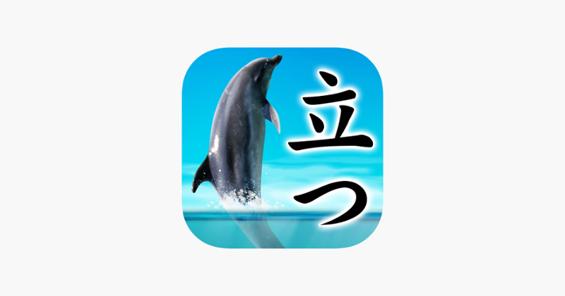 Can Dolphin Stand? Image