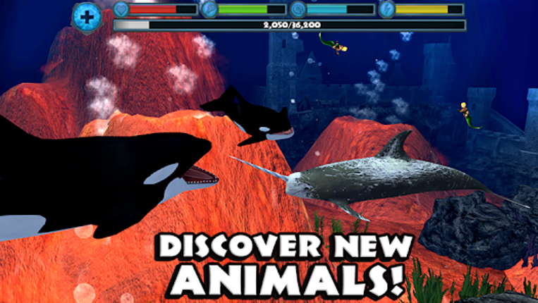 Orca Simulator Image