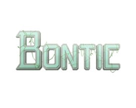 Bontic Image