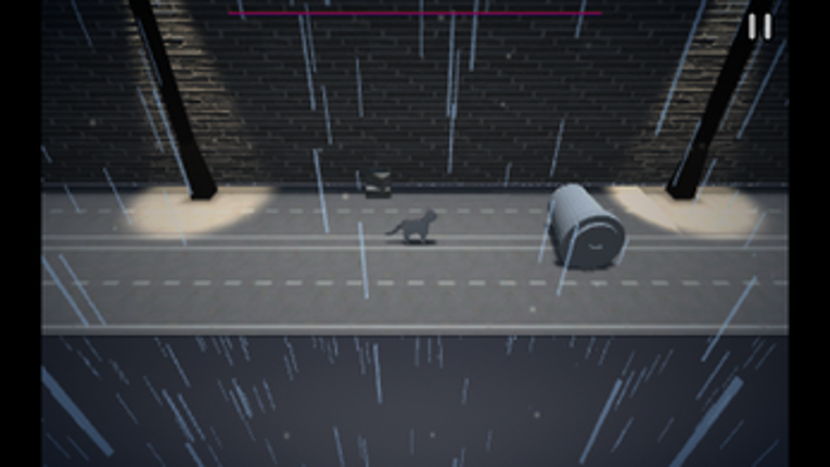 Kitten's Commute Image