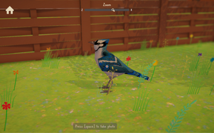 Marvellous Bird Photography screenshot