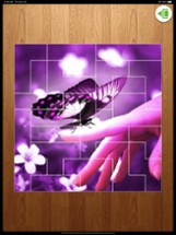 Jigtris Puzzle Image