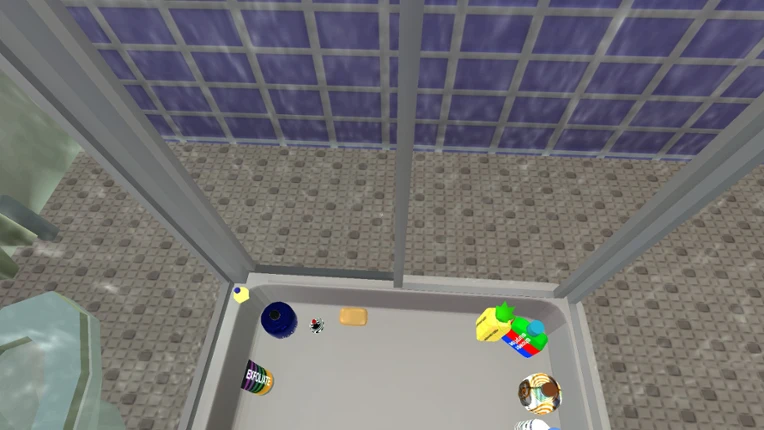 Shower Game Image