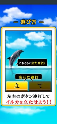 Can Dolphin Stand? Image