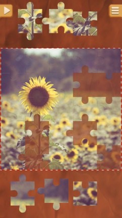 Cool Jigsaw Puzzles Game - Free Logical Games screenshot