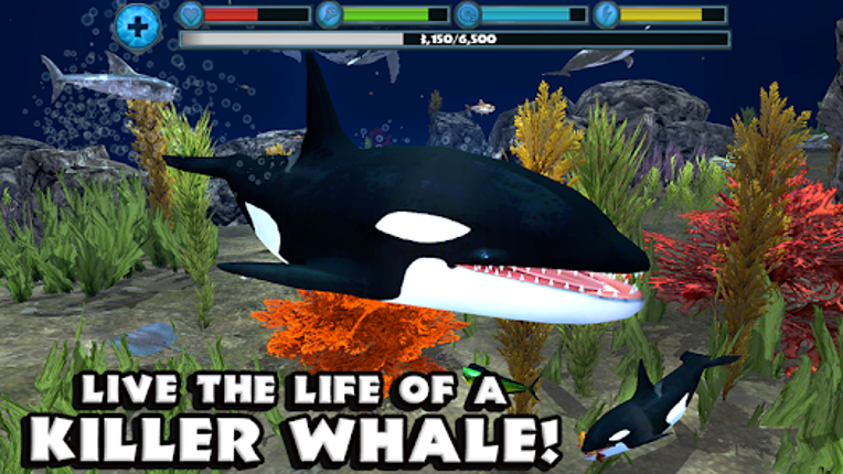 Orca Simulator screenshot