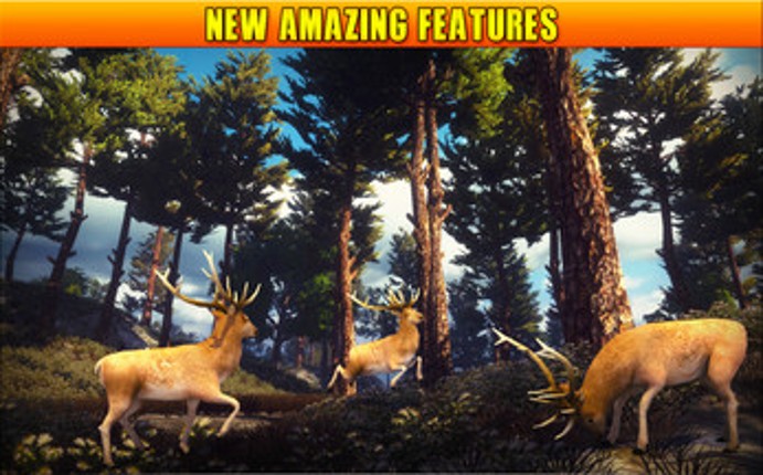 Deer Hunting 19: Wild Animal Shooter Image