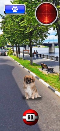 Pocket Dogs GO AR Image