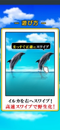 Can Dolphin Stand? screenshot