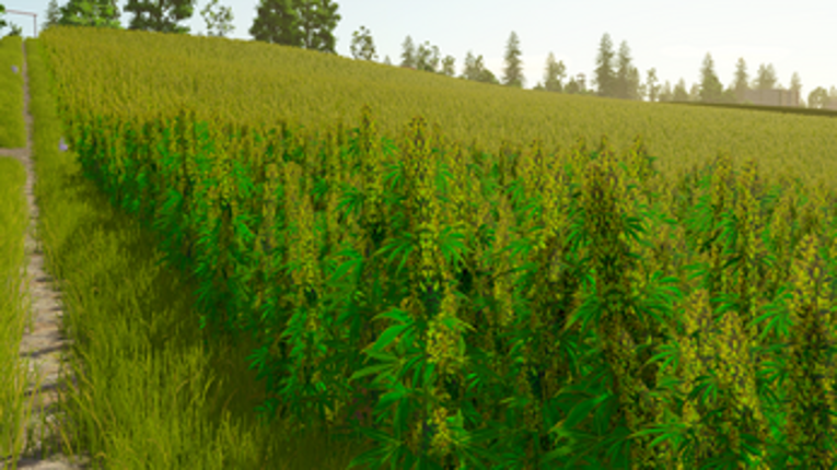 FS25 - Lucid Valley - V 2.0 screenshot