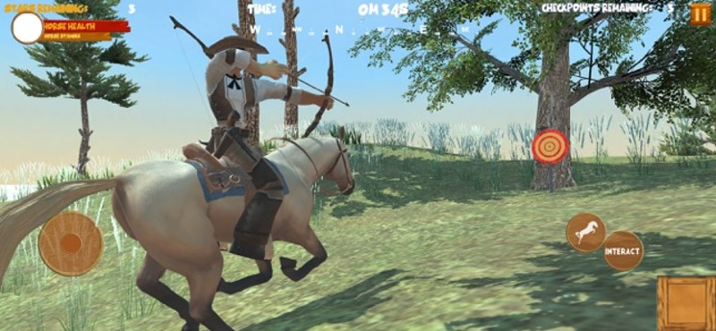 Wild West Cowboy Horse Rider screenshot