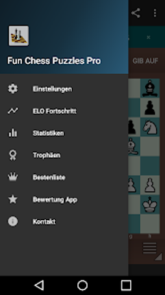 Fun Chess Puzzles Pro Image