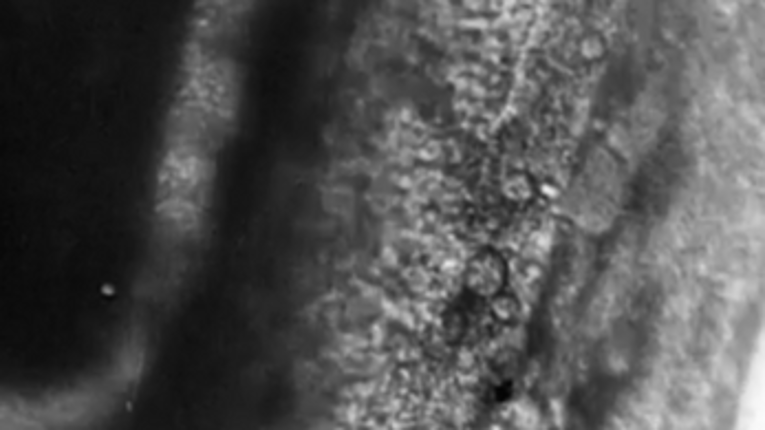 Harken Image