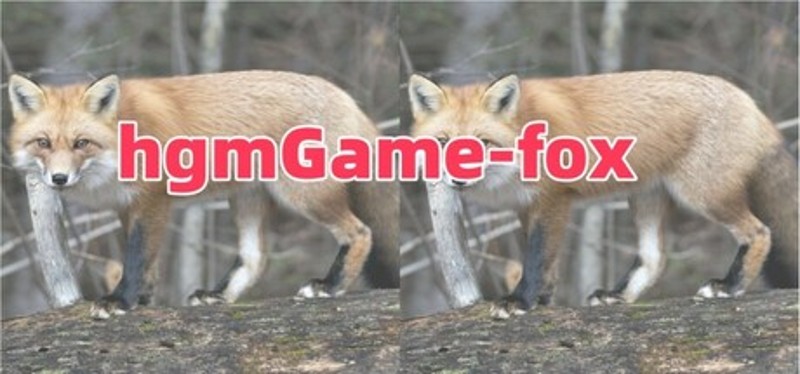hgmGame-fox Image