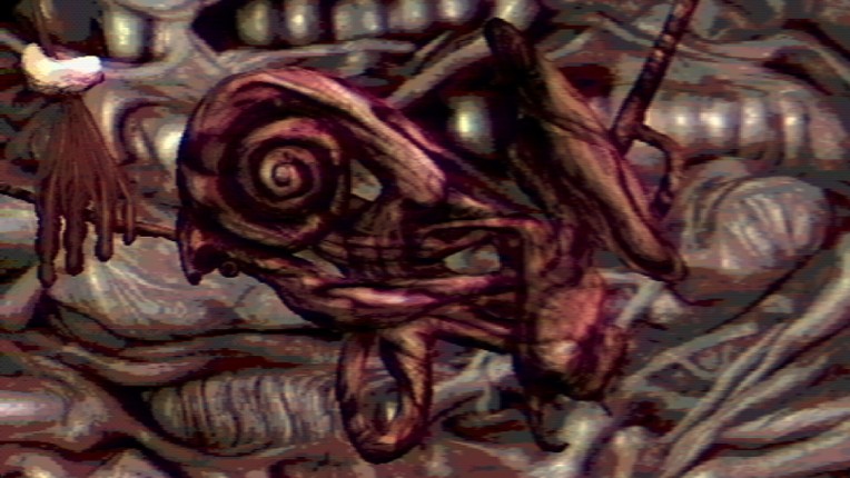 Navicula Meatus screenshot