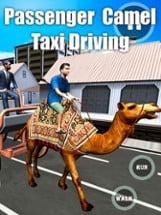 Passenger Camel Taxi Driving Image