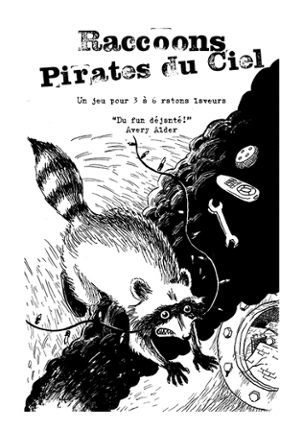 Raccoons, Pirates du Ciel Image