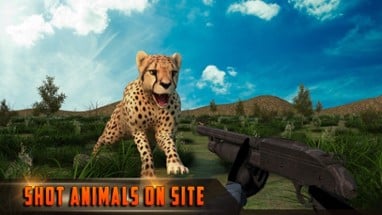 Wild Hunter Jungle Shooting 3D Image