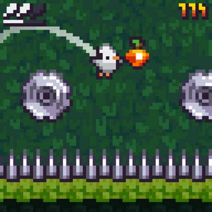 BIRDMO Image
