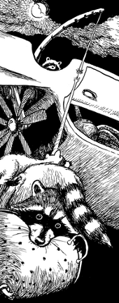 Raccoons, Pirates du Ciel Image