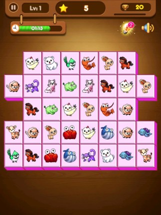 Connect Animal - Pair Matching Image