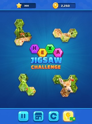 Hexa Jigsaw Challenge screenshot