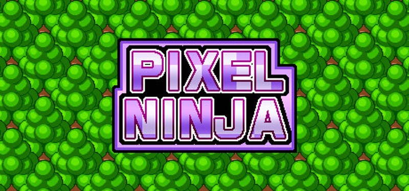 Pixel Ninja Image