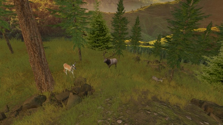 AccuBow VR screenshot