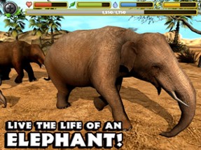 Elephant Simulator Image