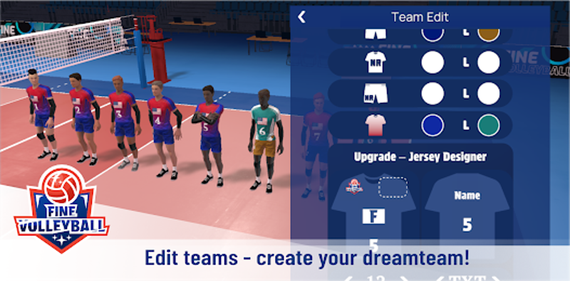 Fine Volleyball screenshot