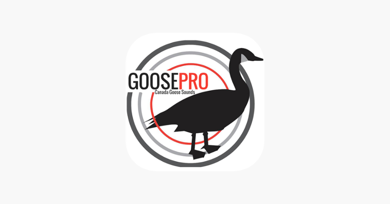 Goose Hunting Calls-Goose Sounds-Goose Call App Image