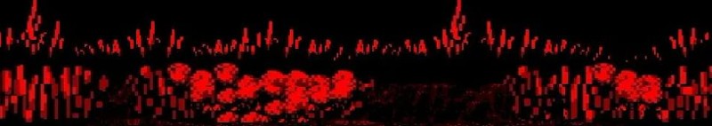 Sonic.EXE Re-Application AndroidPort Image