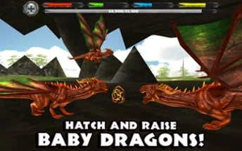 World of Dragons: Dragon Simulator Image