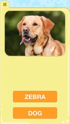 Animal Picture Matching Kids Games:Memory Matches Image