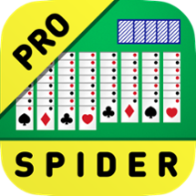 Spider • Pro Image