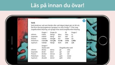 Form i fokus A – svensk grammatik Image