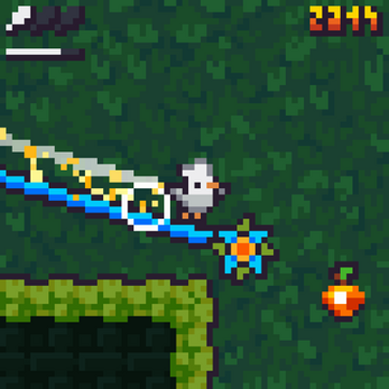 BIRDMO screenshot