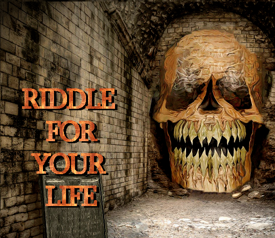 Games like Riddle for your Life