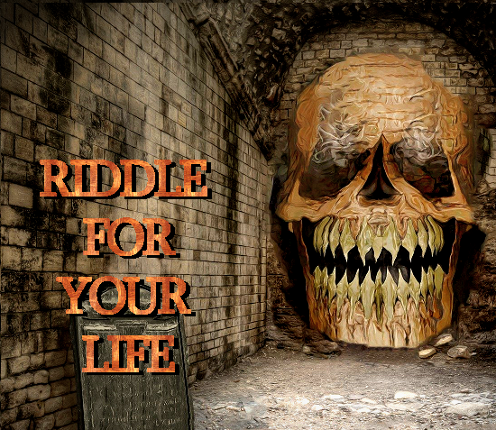 Riddle for your Life Game Cover