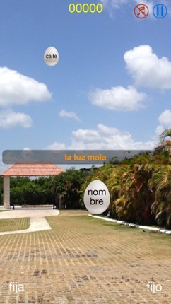 Género - learn noun gender in Spanish, grammar exercise screenshot