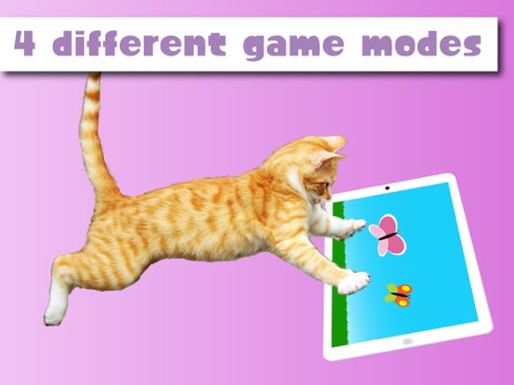 HappyCats Pro - Game for cats screenshot