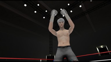 The Thrill of the Fight - VR Boxing Image