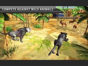 Wild Cat Simulator - Animal Survival Game Image