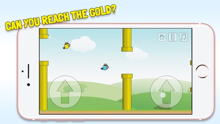 2 Floppy Birds - Twice as fun screenshot